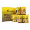 12x Balenie 10 kusov Masala Vonných Kužeľov Tečúci Dym - Kokos & Mango
