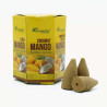 12x Balenie 10 kusov Masala Vonných Kužeľov Tečúci Dym - Kokos & Mango