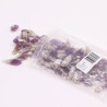Surové Kryštály (500 g) - Ametystové Hroty