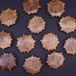 12x Gravírovaný Mosadzný Stojan na Vonné Tyčinky Znamenie Zverokruhu -