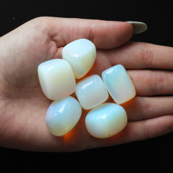 24x Opalit L