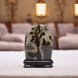 Obrazové Kamene Guohua - Oblúk - 145 x 110 mm (približne 140 g)