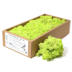 Dekoračný Islandský Mach - Mätovo Zelený - 635g