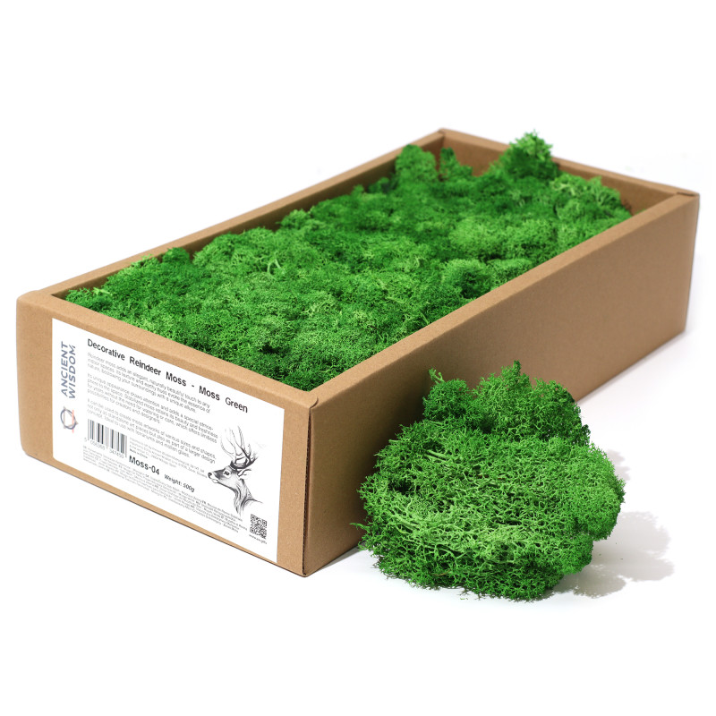 Dekoračný Islandský Mach - Machovo Zelený - 635g