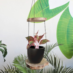 Závesná Polička z Dreva Gamal – Dve Poličky