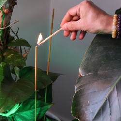 12x Záhradné Vonné Tyčinky Biofresh - (10 x 50cm) - Citronella