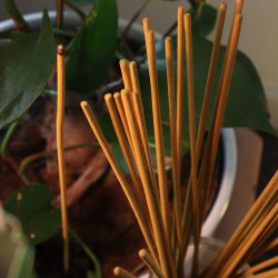12x Záhradné Vonné Tyčinky Biofresh - (10 x 50cm) - Citronella
