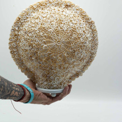 Boho Morská Mušľová Lampa - Veľká Vzorovaná Okrúhla - 30 cm