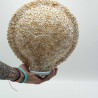 Boho Morská Mušľová Lampa - Veľká Vzorovaná Okrúhla - 30 cm