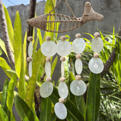 Prepletaná Ryba a Prírodné Kvapky Mušle