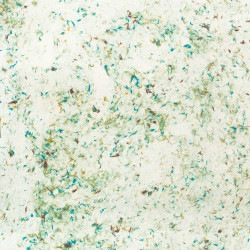 10x Baliaci Papier Lokta (51x76cm) - Zelená Bavlna