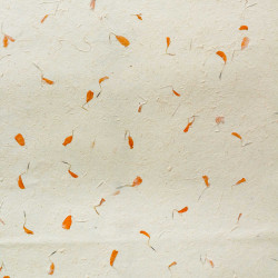 10x Baliaci Papier Lokta (51x76cm) - Nechtík Lekársky