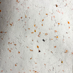 10x Baliaci Papier Lokta (51x76cm) - Nechtík Lekársky