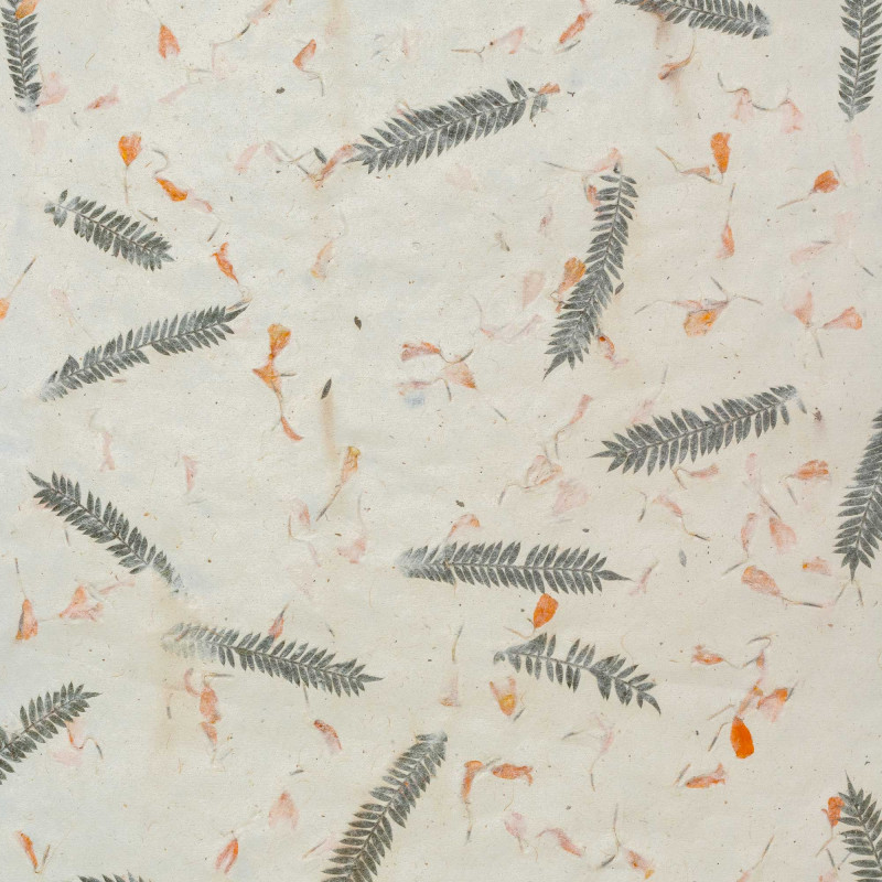 10x Baliaci Papier Lokta (51x76cm) - Tráva