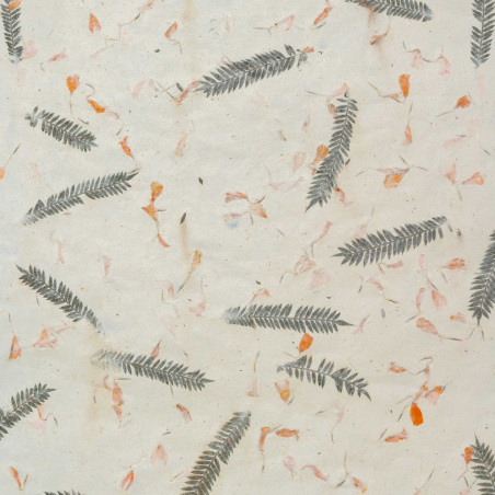 10x Baliaci Papier Lokta (51x76cm) - Tráva