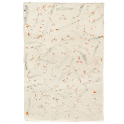 10x Baliaci Papier Lokta (51x76cm) - Tráva