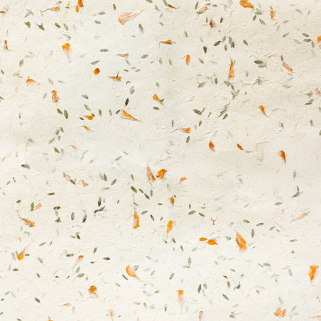 10x Baliaci Papier Lokta (51x76cm) - Mix Trávy