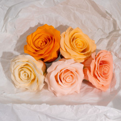 25x Mydlové Kvety pre Šikovné Ruky - (5-vrstvová) Ruža - Hodvábne Zdob