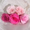 25x Mydlové Kvety pre Šikovné Ruky - (5-vrstvová) Ruža - Hodvábne Zdob