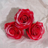 25x Mydlové Kvety pre Šikovné Ruky - (5-vrstvová) Ruža - Hodvábne Zdob