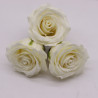 25x Mydlové Kvety pre Šikovné Ruky - (5-vrstvová) Ruža - Slonovinová