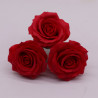 25x Mydlové Kvety pre Šikovné Ruky - (5-vrstvová) Ruža Červená