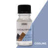 10x 10ml Vonný Olej Eukalyptový