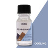 10x 10ml Vonný Olej Mäta Pieporná