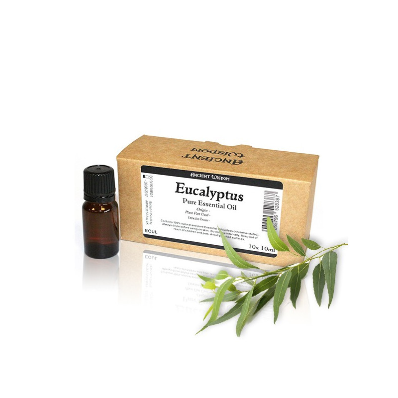 10x 10ml Eukalyptus Esenciálny Olej Neoznačený