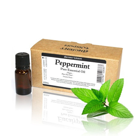 10x 10ml Mäta Pieporná Esenciálny Olej Neoznačený