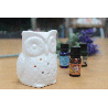 Klasická Biela Aroma Lampa - Vysoká Sova