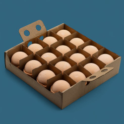 16x Šumivé Bomby Mandarínka a Grapefruit