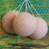6x Špongia Konjac - Ružová
