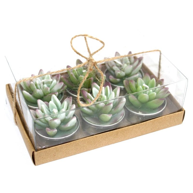 5x Set 6-tych Kaktusových Sviečok - Agáva
