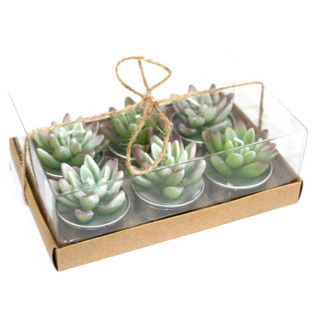 5x Set 6-tych Kaktusových Sviečok - Agáva