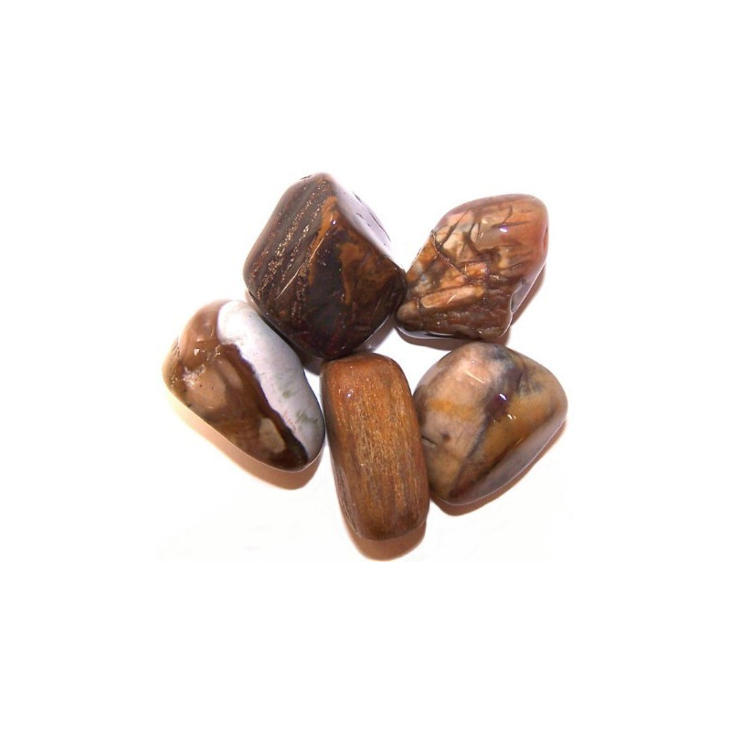 24x Veľký Hladký Kameň - Skamenelé Drevo