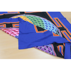 Symboly Siedmich Vlajok