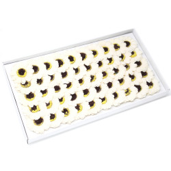 50x Mydlové Kvety pre Šikovné Ruky - Malá Margarétka- Krémová