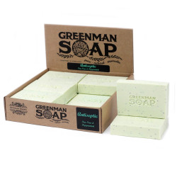 12x Greenman Mydlo 100g - Antiseptický bojovník