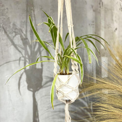 Macramé Závesný Držiak na Kvetináč - Extra Dlhý