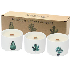 3x Stredná Botanická Sviečka - Moruša