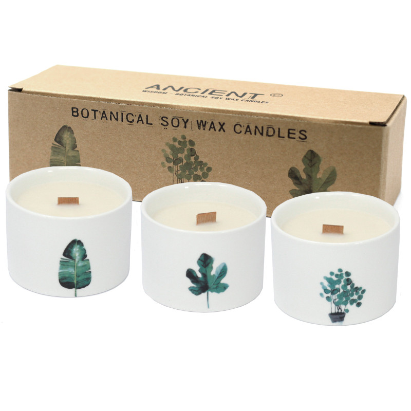 3x Stredná Botanická Sviečka - Moruša
