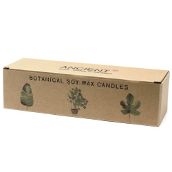 3x Stredná Botanická Sviečka - Citrón & Zemolez