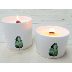 3x Veľká Botanická Sviečka - Divoký Jazmín