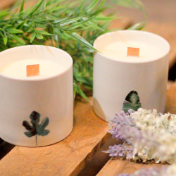 3x Veľká Botanická Sviečka - Divoký Jazmín