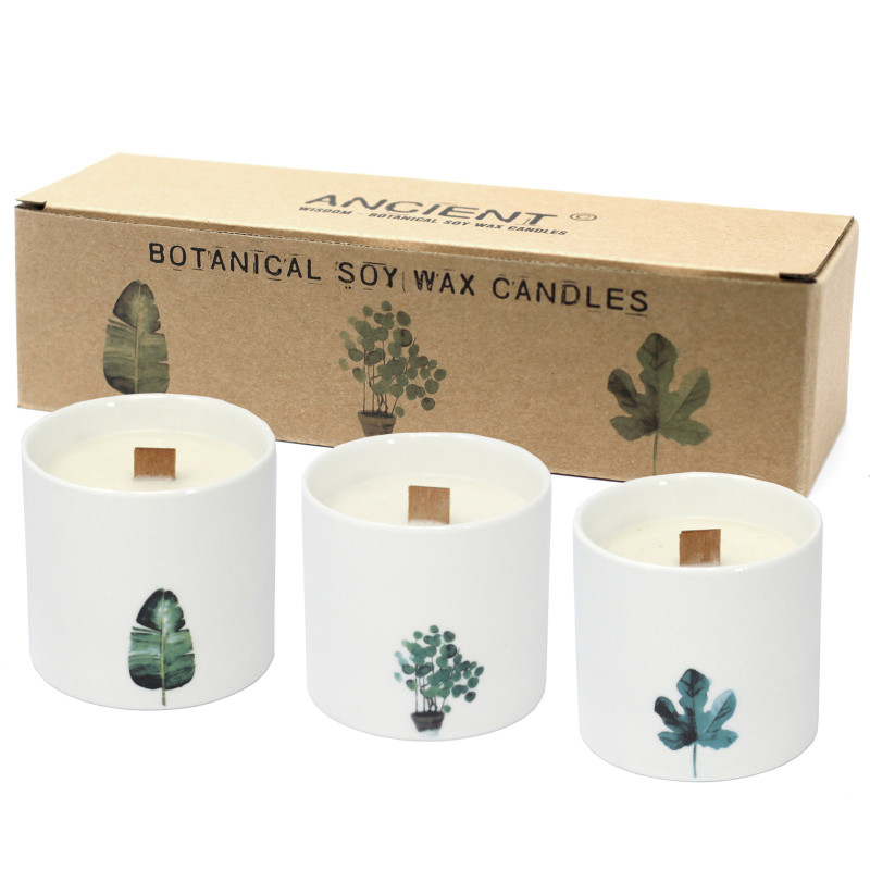 3x Veľká Botanická Sviečka - Fialka