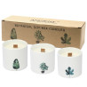 3x Veľká Botanická Sviečka - Fialka