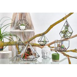 Sklenené Terárium - Malý Diamant