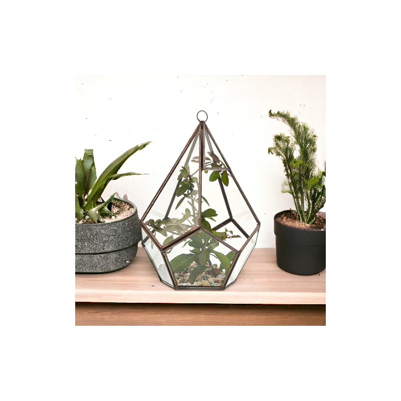 Sklenené Terárium - Veľká Pyramída