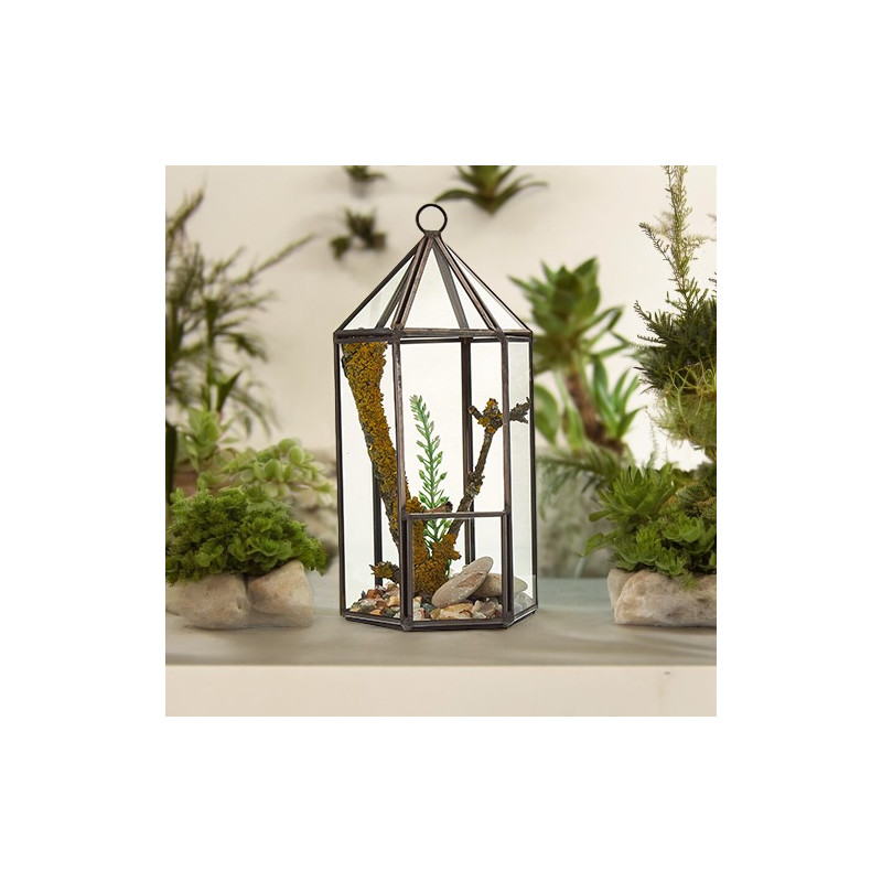 Sklenené Terárium - Lampáš